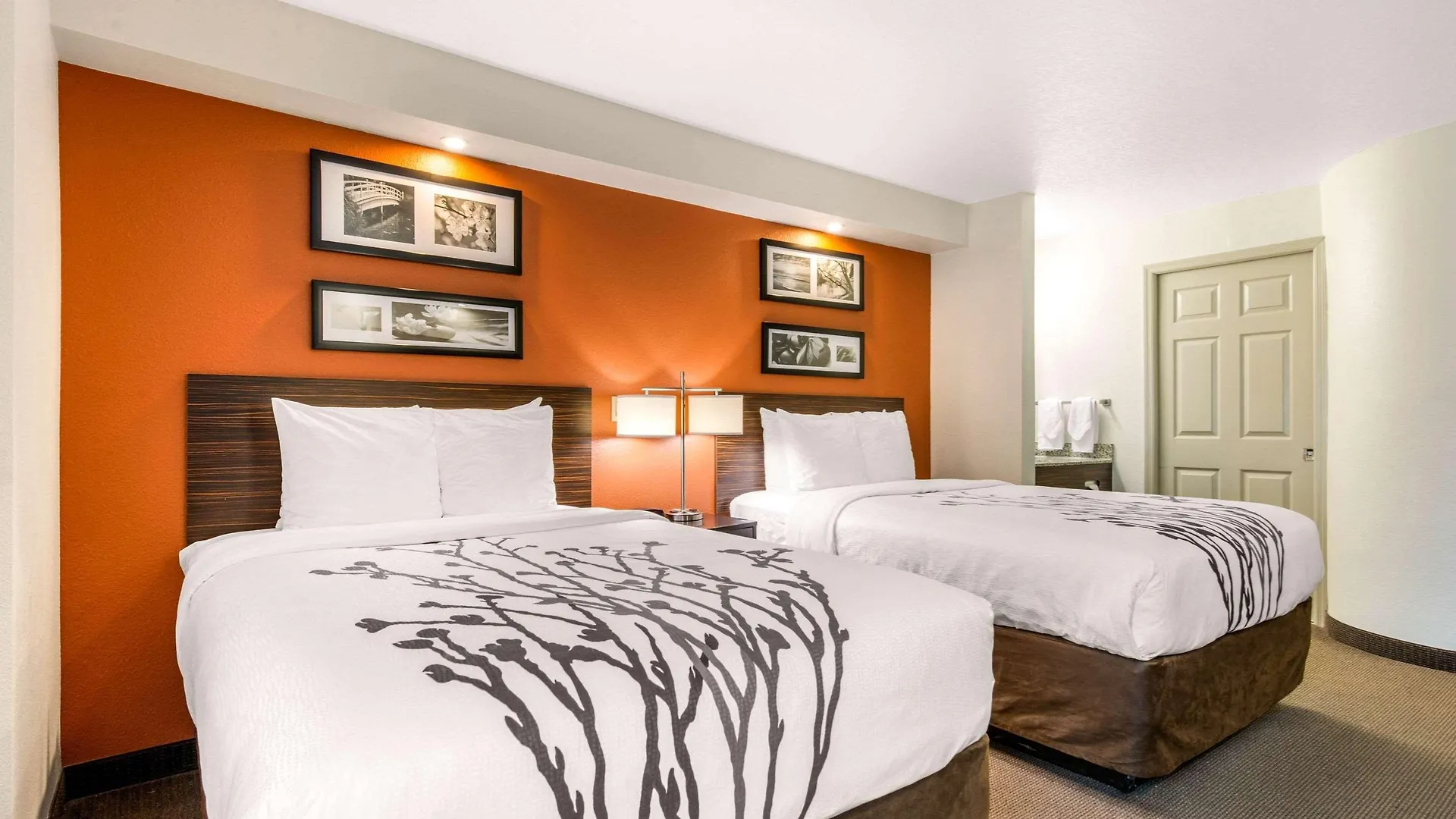 Sleep Inn Clearwater-St Petersburg