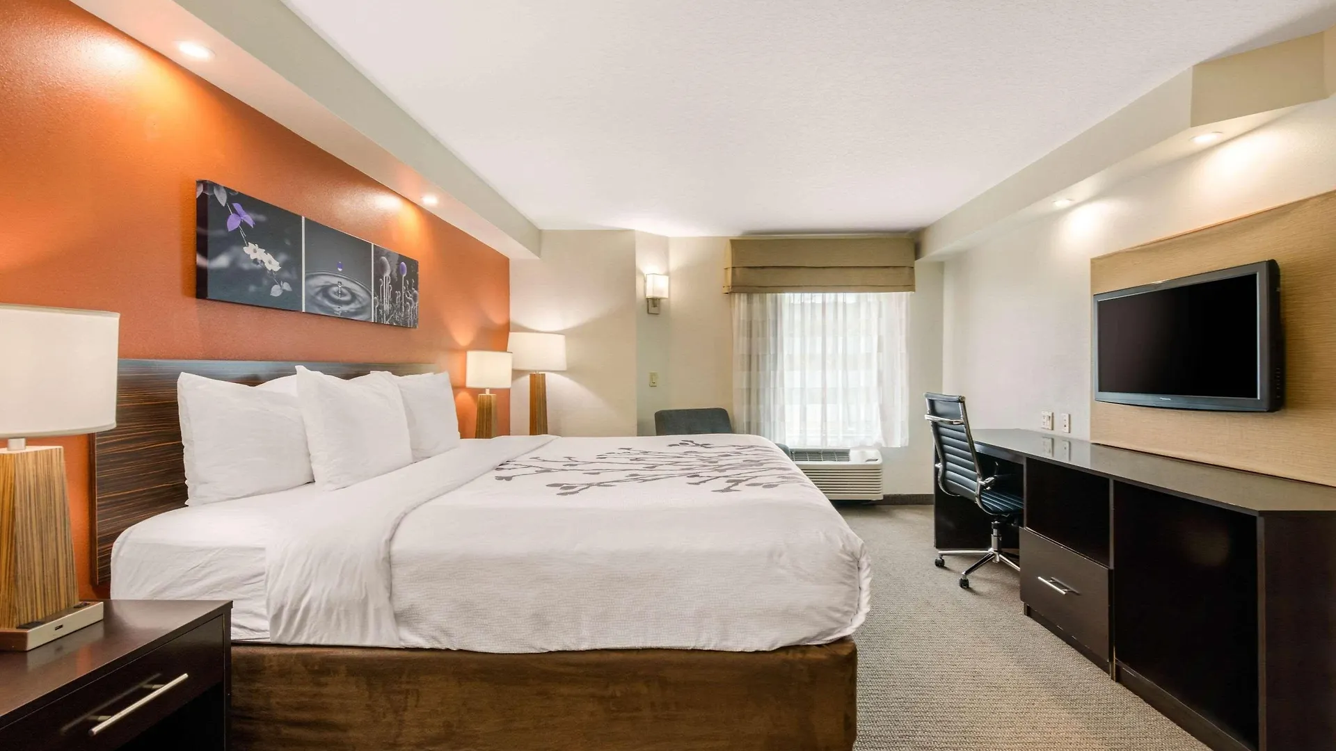 Sleep Inn Clearwater-St Petersburg 2*, Clearwater