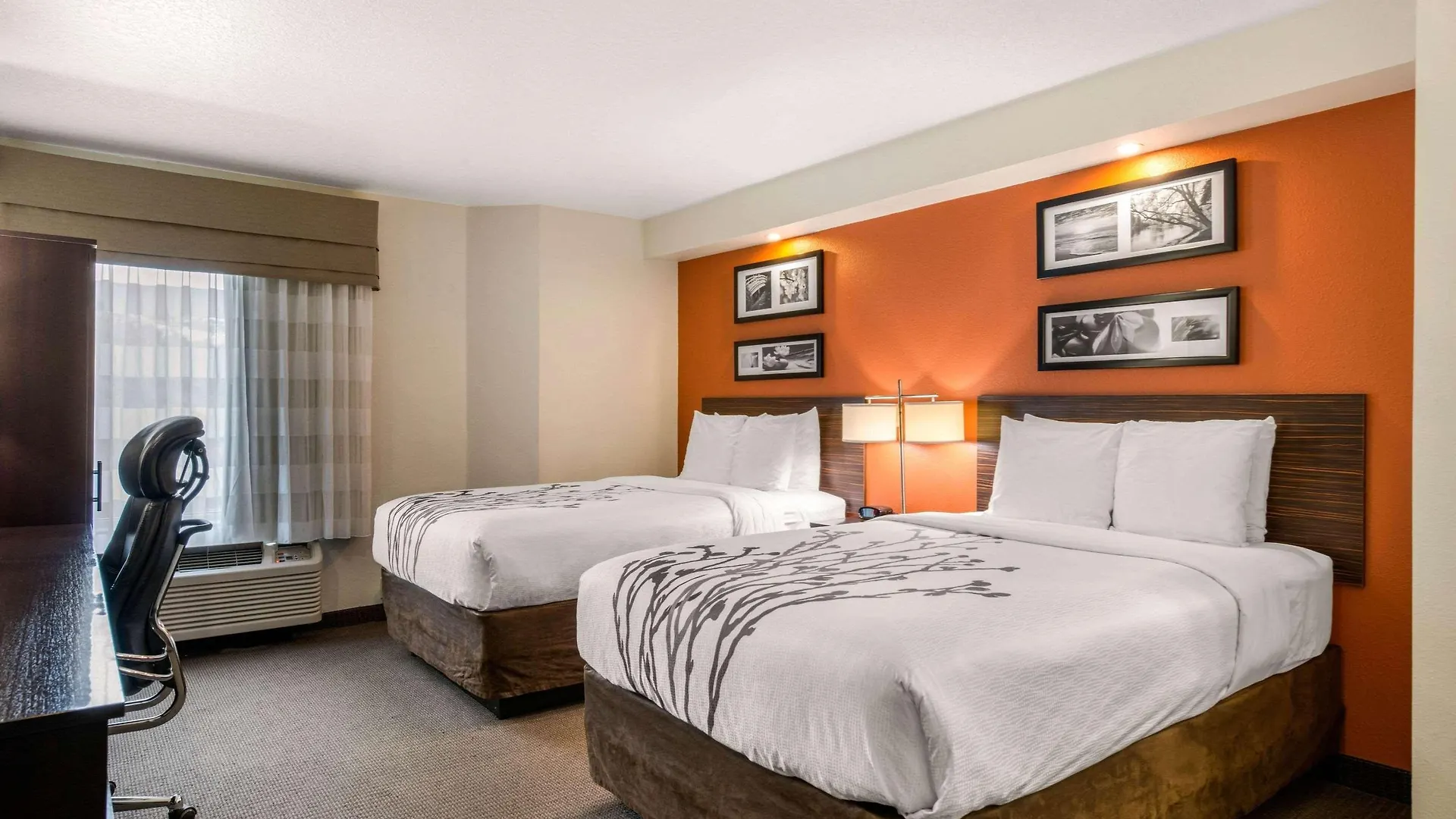 **  Sleep Inn Clearwater-St Petersburg United States
