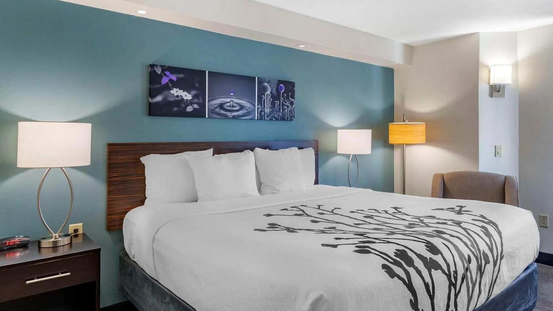 **  Sleep Inn Clearwater-St Petersburg United States