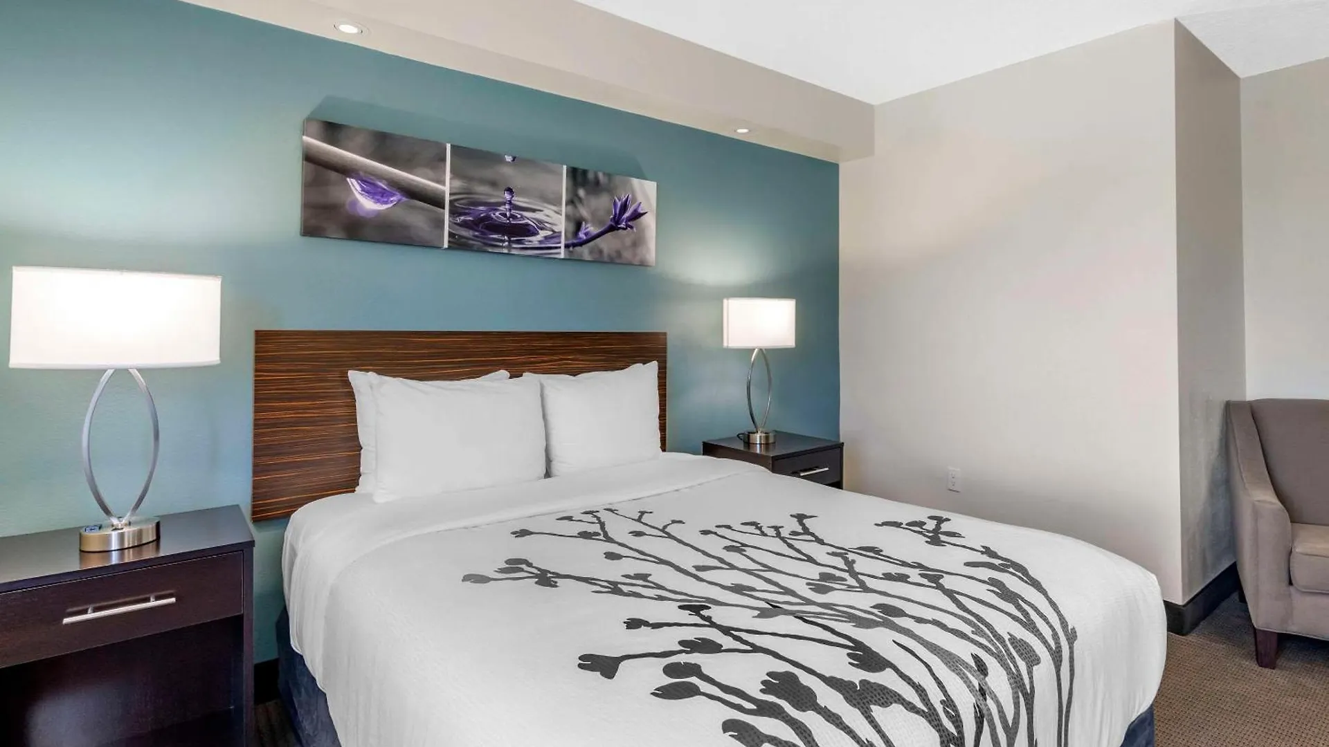 Sleep Inn Clearwater-St Petersburg 2*, Clearwater