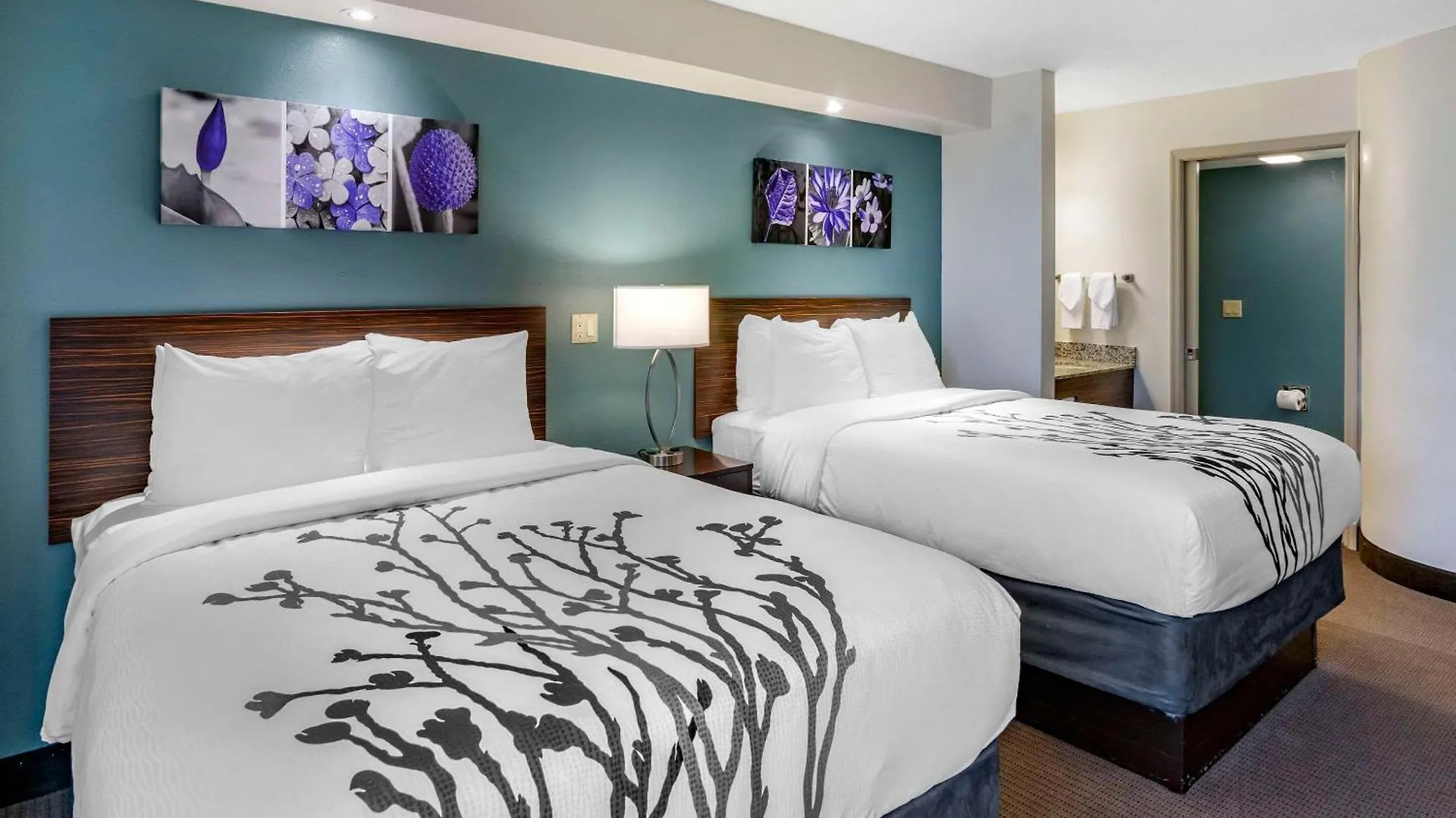 Sleep Inn Clearwater-St Petersburg