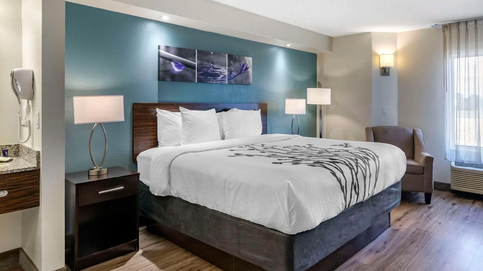 Sleep Inn Clearwater-St Petersburg United States
