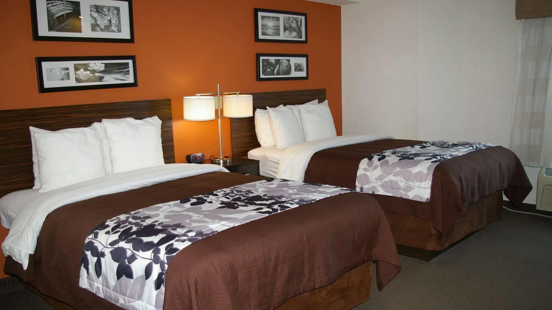 Sleep Inn Clearwater-St Petersburg 2*, Clearwater United States
